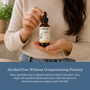 eclectic-herb-organic-bilberry-liquid-he-5.jpg