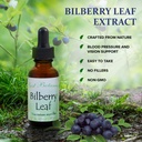 bilberry-leaf-extract-1-oz-3.jpg
