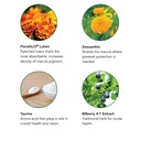 botanic-choice-opti-gold-vision-eye-heal-4.jpg