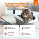 zesty-paws-cranberry-urinary-tract-bites-2.jpg