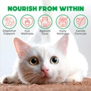 probiotics-for-cats-chews-500pcs-digesti-2.jpg