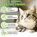 3-in-1-probiotics-for-cats-help-with-gut-3.jpg
