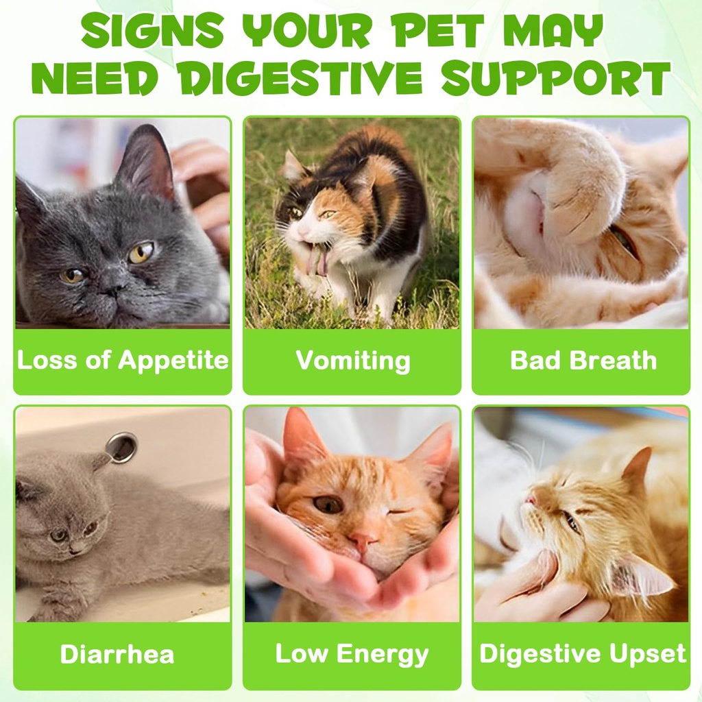 3-in-1-probiotics-for-cats-help-with-gut-2.jpg