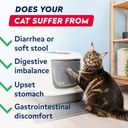strellalab-cat-probiotics-powder-108-sco-2.jpg