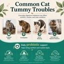 cat-probiotics-chews-500-count-omega-3-f-3.jpg
