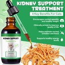 kidney-support-for-cats-cat-kidney-treat-2.jpg