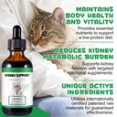 kidney-support-for-cats-cat-kidney-treat-5.jpg