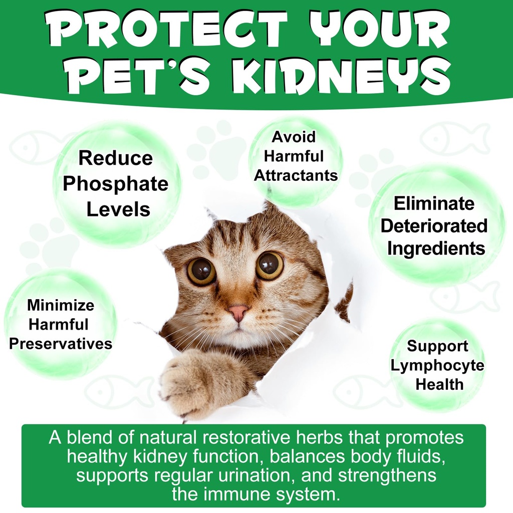 kidney-support-for-cats-cat-kidney-treat-6.jpg