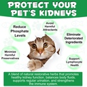 kidney-support-for-cats-cat-kidney-treat-6.jpg