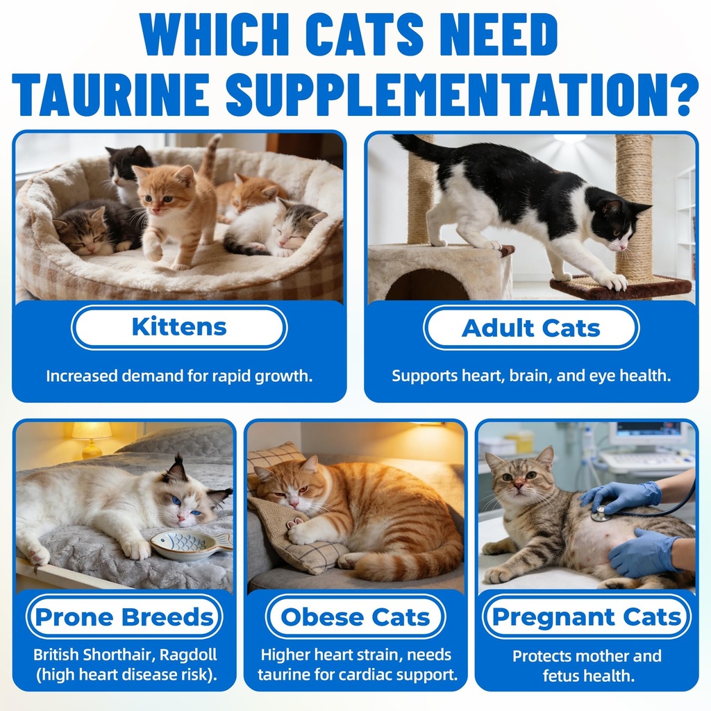 6-35-oz-cat-taurine-bites-taurine-for-ca-2.jpg