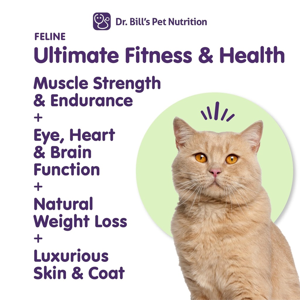 dr-bill-s-feline-ultimate-fitness-health-3.jpg