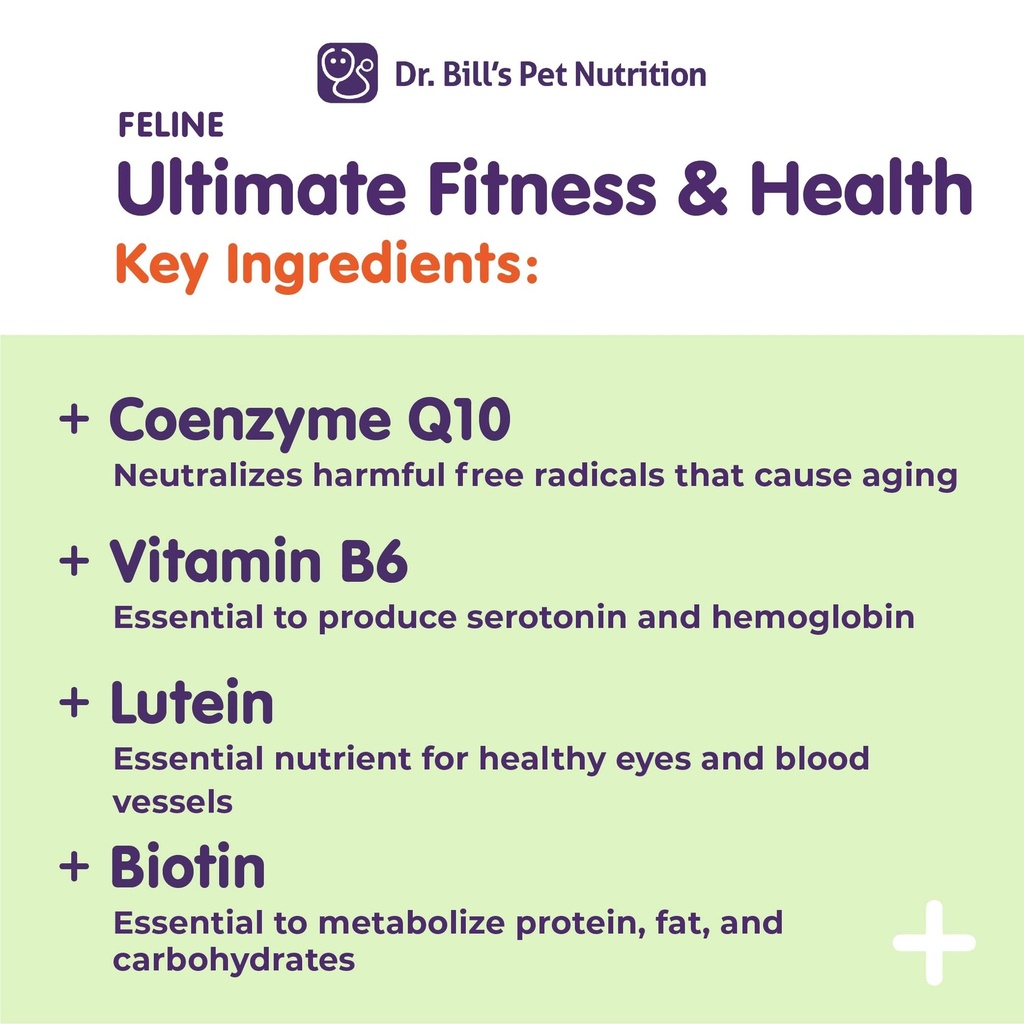 dr-bill-s-feline-ultimate-fitness-health-4.jpg