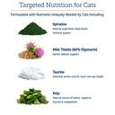 rx-vitamins-essentials-for-cats-cat-mult-3.jpg