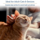 rx-vitamins-essentials-for-cats-cat-mult-5.jpg