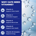 wellix-26-in-1-taurine-for-cats-multivit-5.jpg