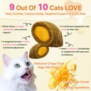 puyrzoe-taurine-for-cats-cat-vitamins-tr-3.jpg
