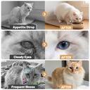 apxl-taurine-for-cats-24-in-1-cat-vitami-4.jpg