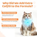 apxl-taurine-for-cats-24-in-1-cat-vitami-4.jpg