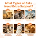 apxl-taurine-for-cats-24-in-1-cat-vitami-5.jpg