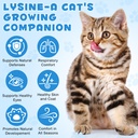 nifeishi-l-lysine-liquid-supplement-for--3.jpg