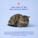 probiotics-for-cats-powder-digestive-gut-4.jpg