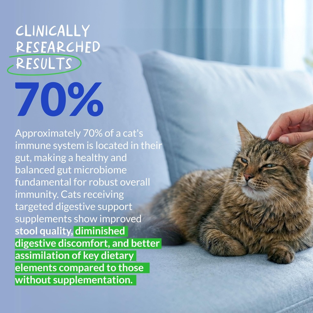 probiotics-for-cats-powder-digestive-gut-3.jpg