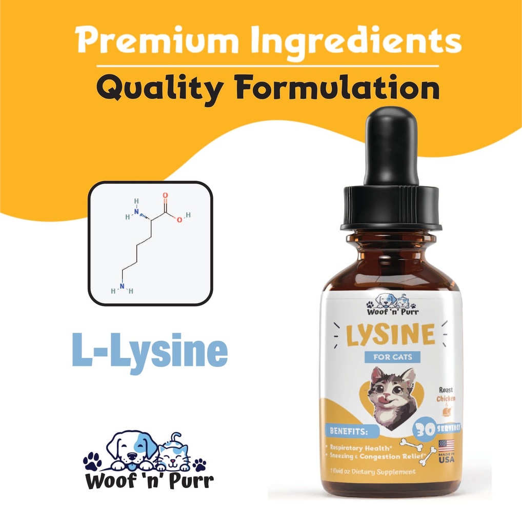 lysine-for-cats-l-lysine-for-cats-may-he-4.jpg