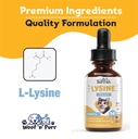 lysine-for-cats-l-lysine-for-cats-may-he-4.jpg
