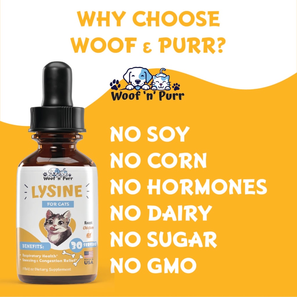 lysine-for-cats-l-lysine-for-cats-may-he-5.jpg
