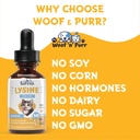 lysine-for-cats-l-lysine-for-cats-may-he-5.jpg