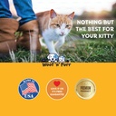 lysine-for-cats-l-lysine-for-cats-may-he-6.jpg