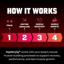 huge-muscle-growth-peptides-unique-pepti-6.jpg