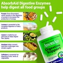 absorbaid-digestive-enzymes-240-vcaps-pr-6.jpg