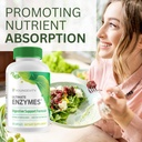 youngevity-ultimate-enzymes-digestive-en-5.jpg