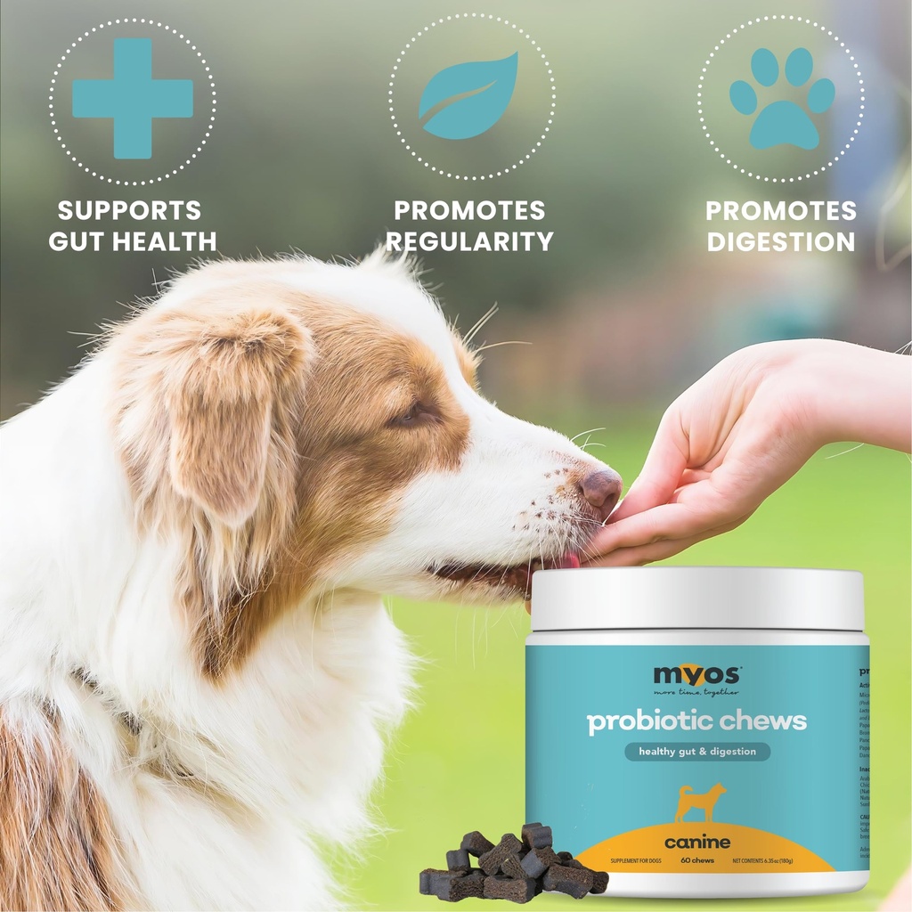 myos-probiotic-chew-for-dogs-daily-diges-4.jpg