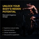 shilajit-capsules-500mg-himalayan-shilaj-4.jpg