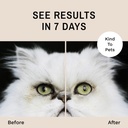 eye-envy-tear-stain-wipes-for-cats-textu-3.jpg