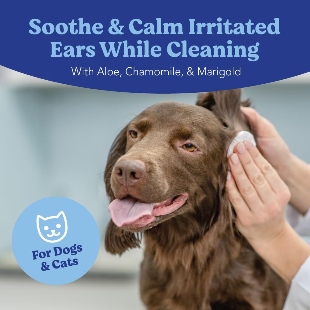 angels-eyes-dog-cat-ear-wipes-100ct-aloe-4.jpg