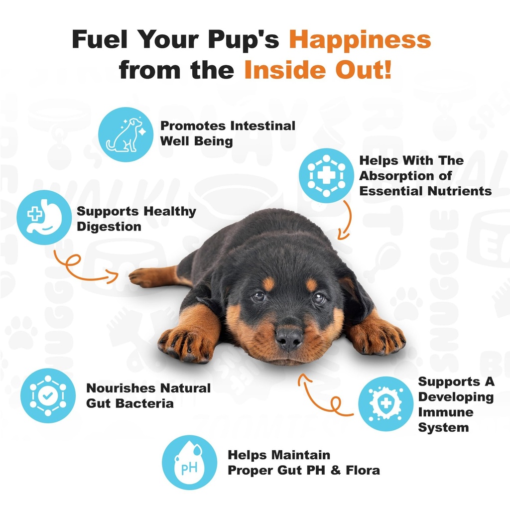 doggie-dailies-puppy-probiotic-soft-chew-3.jpg