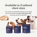petlab-co-allergy-immune-probiotic-chews-2.jpg