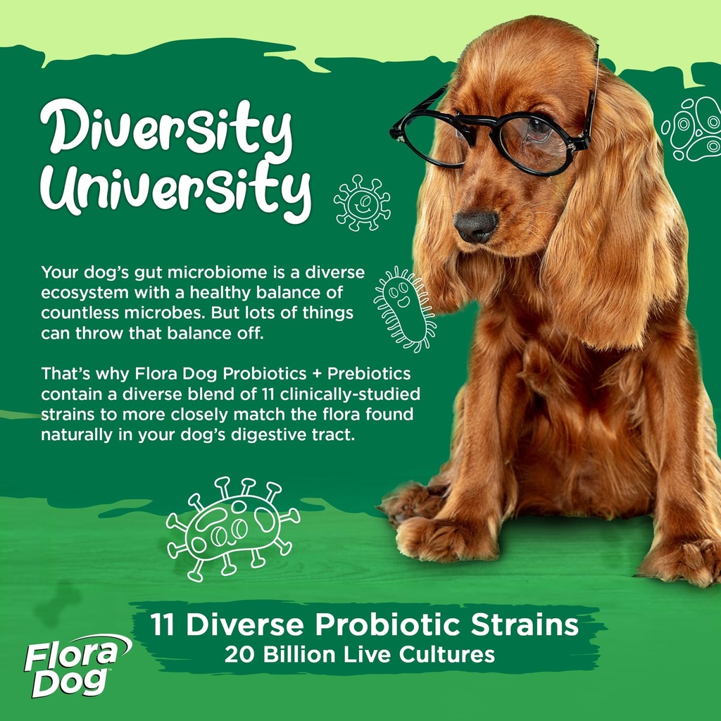 vital-planet-flora-dog-probiotics-dog-ch-3.jpg