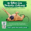 vital-planet-flora-dog-probiotics-dog-ch-6.jpg