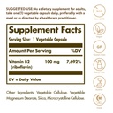 solgar-vitamin-b-bundle-b6-25-mg-100-tab-2.jpg