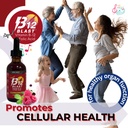 bricker-labs-b-12-blast-liquid-vitamin-b-4.jpg