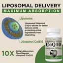liposomal-coq10-800mg-ubiquinol-softgel--4.jpg