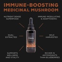 chaga-mushroom-extract-forager-s-quest-5-3.jpg