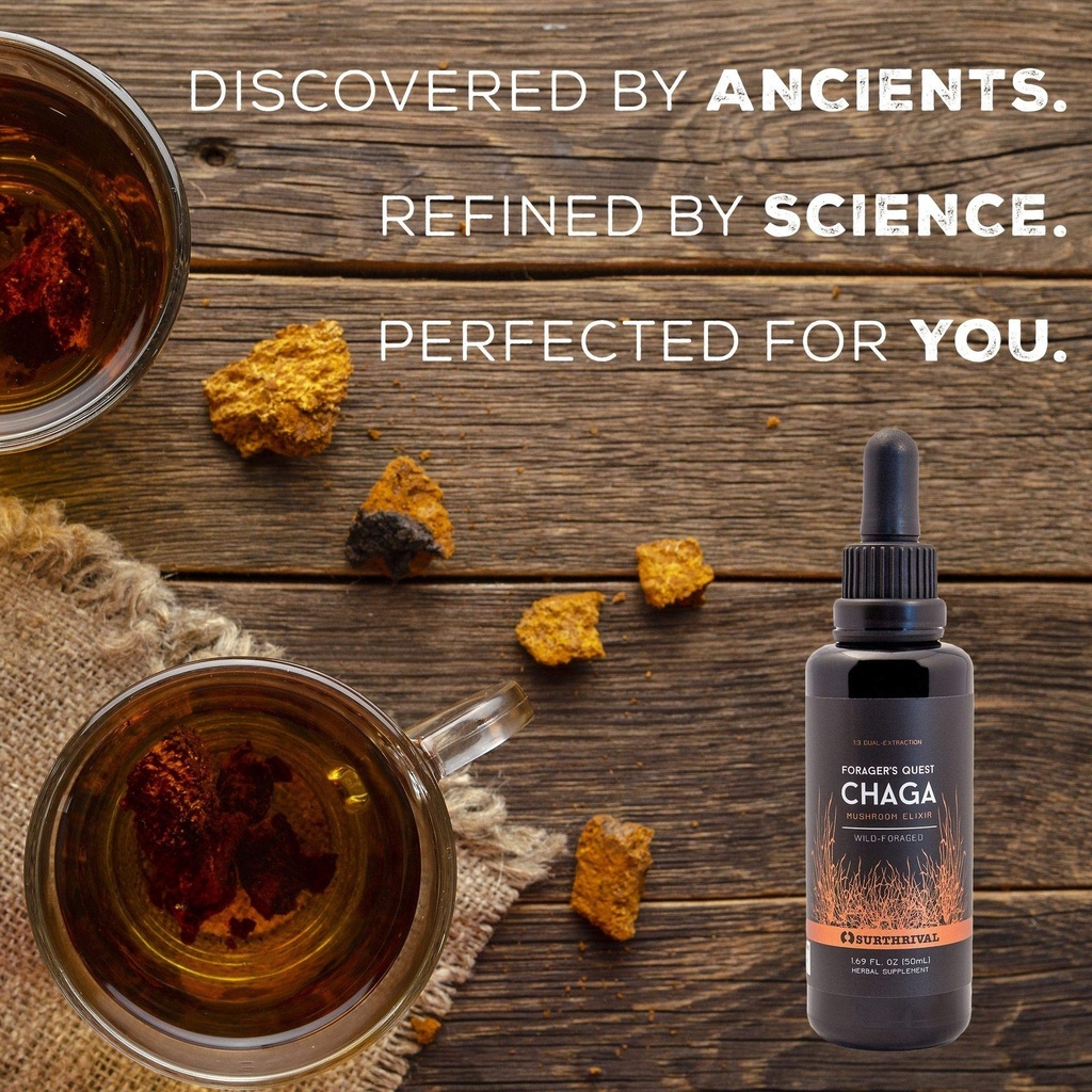 chaga-mushroom-extract-forager-s-quest-5-2.jpg
