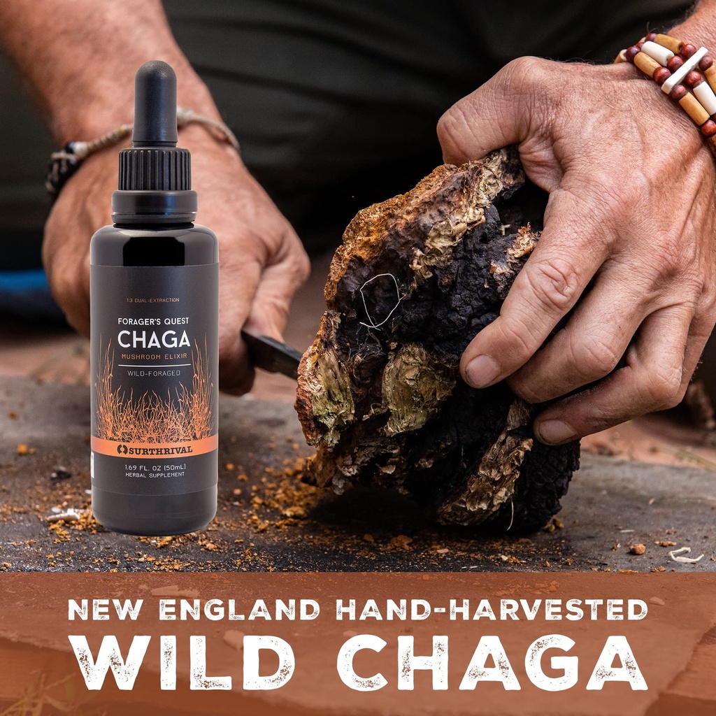 chaga-mushroom-extract-forager-s-quest-5-4.jpg