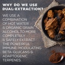 chaga-mushroom-extract-forager-s-quest-5-5.jpg