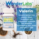 valerian-natural-relaxant-for-tension-re-5.jpg